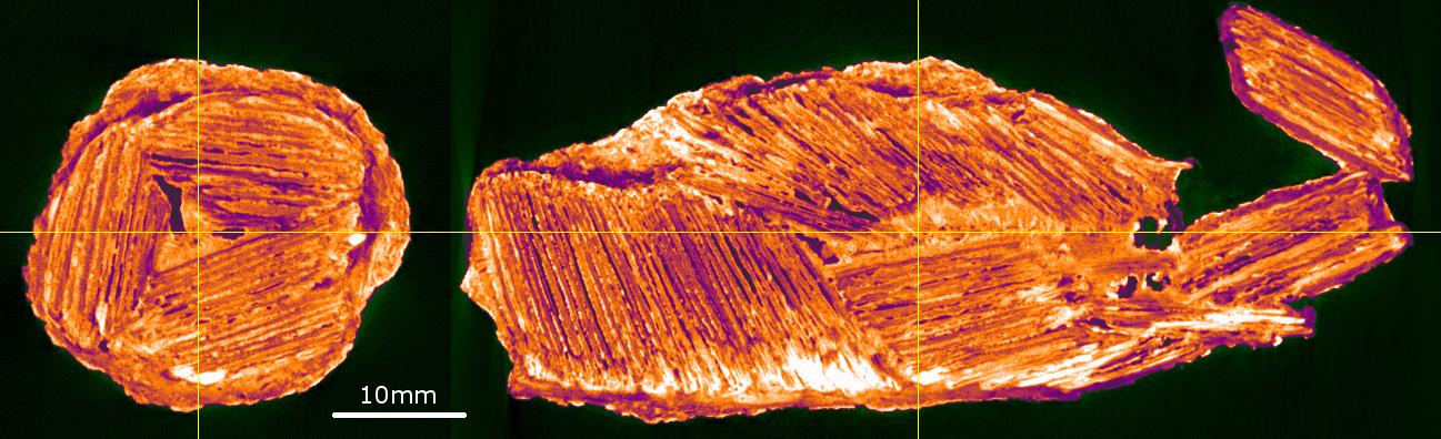 Foto: Dirk Muter, Danmarks Tekniske Universitet